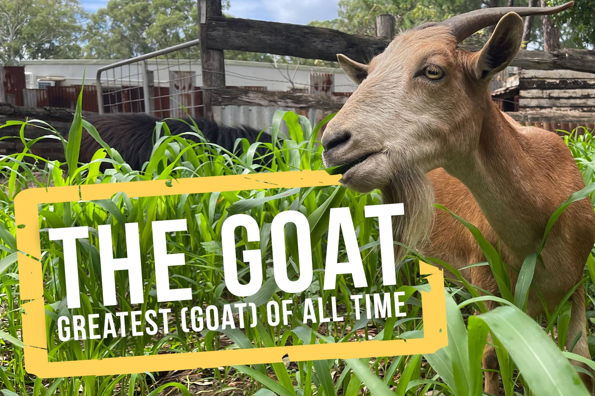 the-goat-capalaba-produce